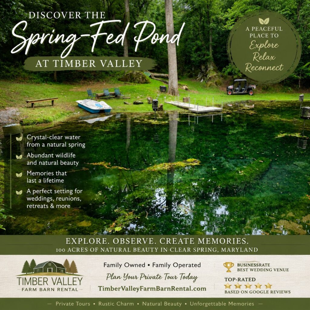 Discover the Spring-Fed Pond Maryland at Timber Valley Farm Barn Rental featuring crystal-clear spring water, towering sycamore trees, a dock, paddle boat, and peaceful woodland scenery in Clear Spring, Maryland.