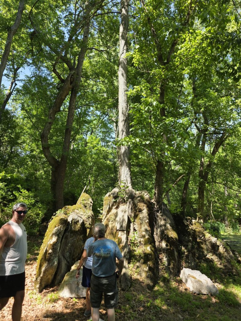 Experience The Tree-Mendous Tree for Yourself
Some natural landmarks are remembered long after a visit, and The Tree-Mendous Tree is one of them. Standing quietly atop its moss-covered boulder, it serves as a beautiful reminder that nature is full of surprises waiting to be discovered.