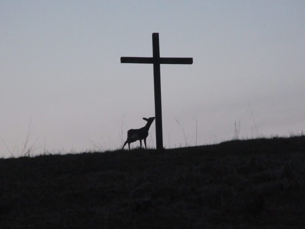 White-tailed deer silhouetted beside the Cross at sunset at Timber Valley Farm Barn Rental, capturing the beauty of Wildlife in Western Maryland.