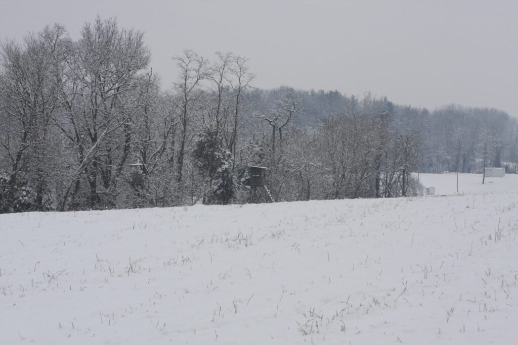 Snow at Timber Valley overlooking rolling snow-covered hills surrounding Timber Valley Farm Barn Rental in the peaceful countryside of Washington County, Maryland.