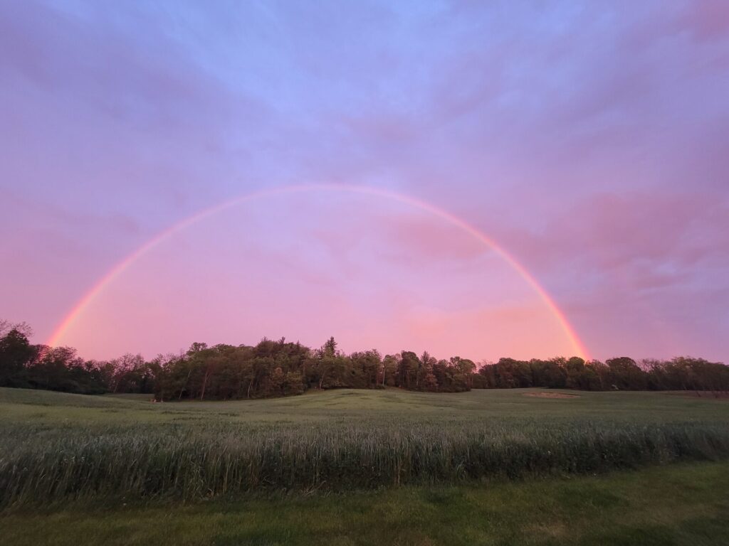 A Rainbow is A Perfect Backdrop for Life's Special Moments at Timber Valley.