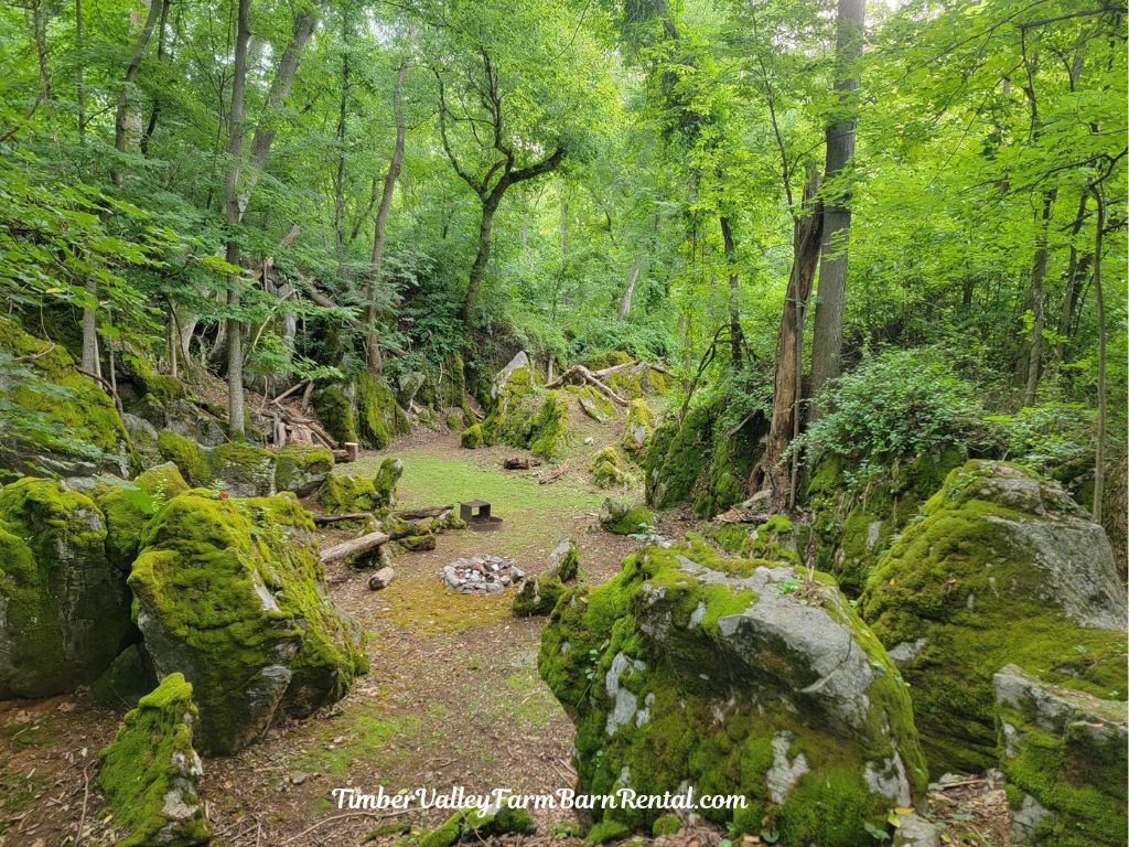 Moss-Covered Boulders That Tell a Timeless Story

Scattered throughout God's Cathedral Maryland are massive moss-covered boulders that seem as though they have always belonged here. Their rugged surfaces, softened by vibrant green moss, create one of the most distinctive and photographed features at Timber Valley Farm Barn Rental. They give God's Cathedral its unique character and make visitors feel as though they have stepped into a place untouched by time.