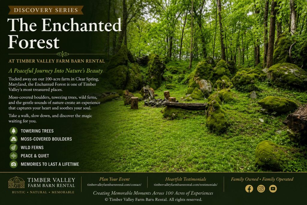 Enchanted Forest Maryland at Timber Valley Farm Barn Rental featuring towering hardwood trees, giant moss-covered boulders, wild ferns, and a peaceful woodland bowl in Clear Spring, Maryland.