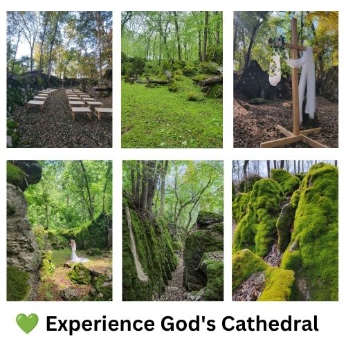 Experience God's Cathedral at Timber Valley Farm Barn Rental, featuring a woodland wedding ceremony site, moss-covered boulders, peaceful forest trails, and one of Western Maryland's most inspiring natural settings.