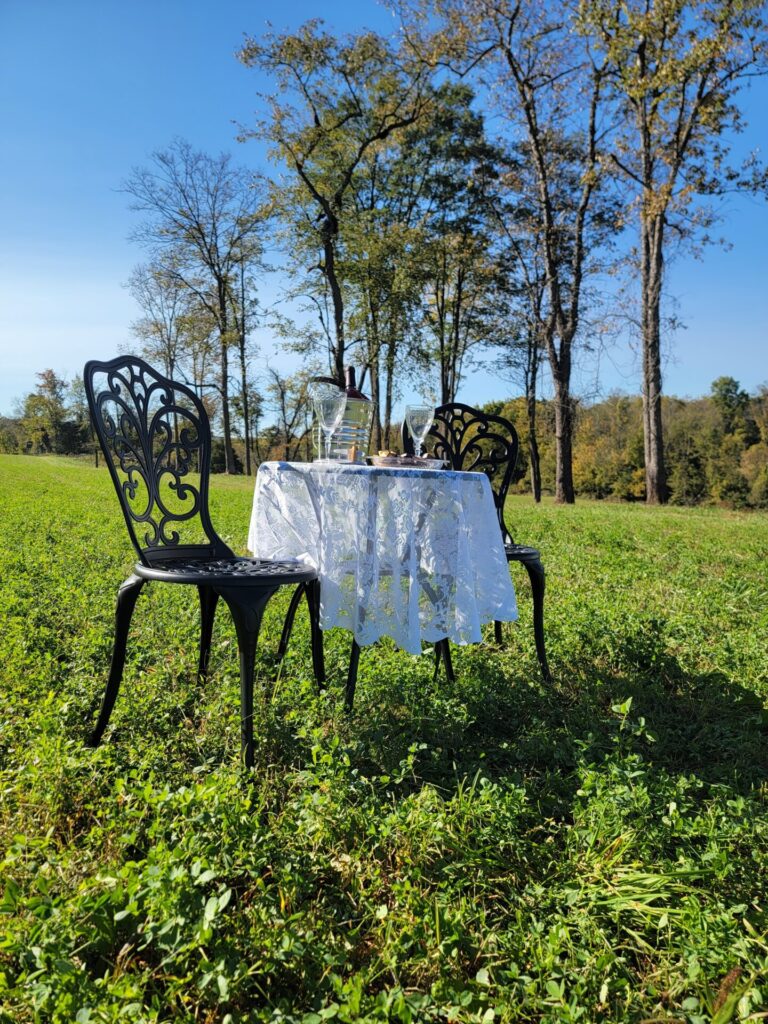 Maryland Proposal Photography Location with a private table for two in an open meadow at Timber Valley Farm Barn Rental